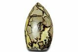 Free-Standing Polished Septarian - Madagascar #361967-2
